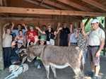 Tiergestützte Therapie
