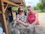 Tiergestützte Therapie