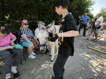 Tiergestützte Therapie