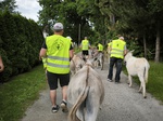 Tiergestützte Therapie