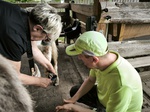 Tiergestützte Therapie