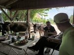 Tiergestützte Therapie