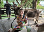 Tiergestützte Therapie